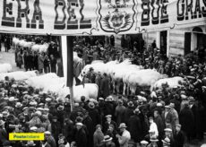 La Guida - Una cartolina di Poste Italiane per la Fiera del Bue grasso di Carrù