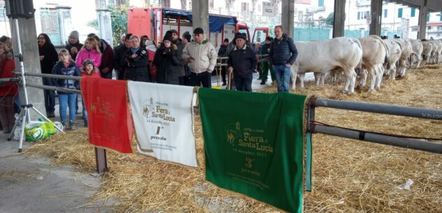 La Guida - A Ceva si è svolta la “Fiera di Santa Lucia”