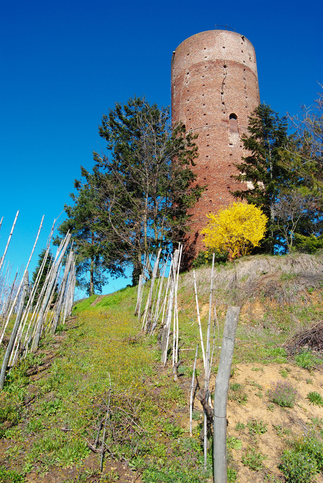 Scelto il commissario prefettizio per Montaldo Roero