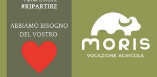 “Abbiamo bisogno di voi e del vostro cuore”, l’appello del Caseificio Moris La Guida - “Abbiamo bisogno di voi e del vostro cuore”, l’appello del Caseificio Moris
