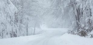 La Guida - Meteo: neve e allerta gialla sulla provincia di Cuneo anche domani (lunedì 27)