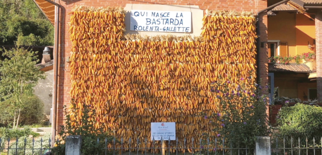 La Guida - A Caraglio la trebbiatura antica della meliga ‘Bastarda’ della Valle Grana