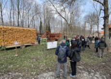 La Guida - Trebbiatura come una volta al Bioparco di Caraglio (video e foto)