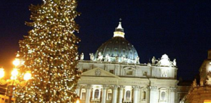 La Guida - Da Macra l’albero per il Natale in piazza San Pietro