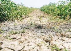 La Guida - Sarà di nuovo record della siccità in Piemonte?