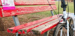 La Guida - Con Bicingiro in bicicletta alla scoperta delle panchine rosse nel cuneese