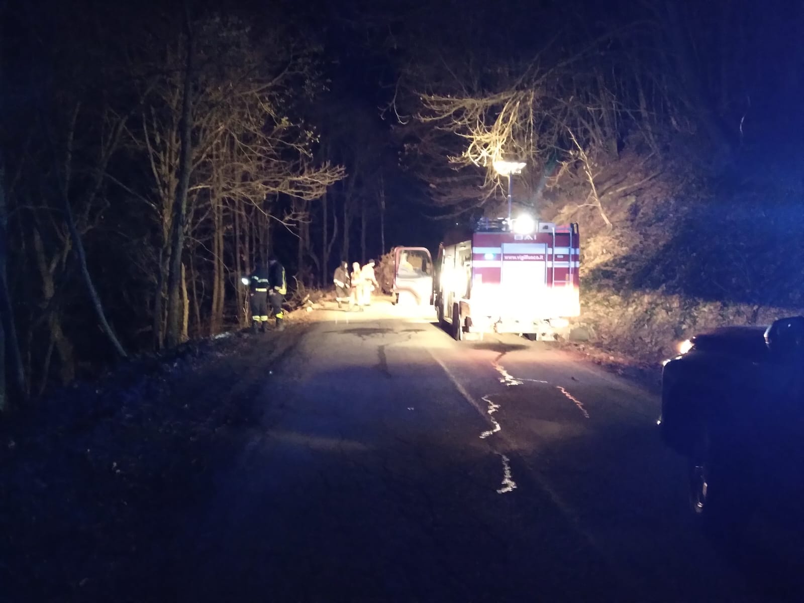 Rimozione di una radice d’albero a Peveragno