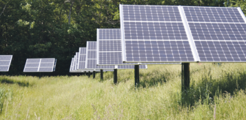 La Guida - L’agrivoltaico: colture, allevamenti e fotovoltaico