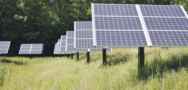 La Guida - L’agrivoltaico: colture, allevamenti e fotovoltaico