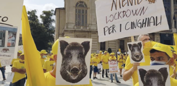 La Guida - Il cinghiale, una calamità che costa al Piemonte milioni di euro all’anno