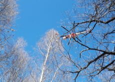 La Guida - Canadair ed elicotteri per l’incendio a Peveragno (video)