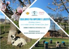 La Guida - Equilibrio tra impegno e libertà, “Beso de Alma” propone appuntamenti di lavoro sistemico
