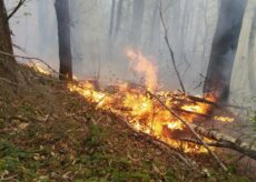 La Guida - Dalla Regione 4,8 milioni di euro per prevenire gli incendi boschivi