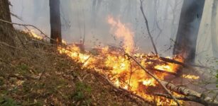 La Guida - Dalla Regione 4,8 milioni di euro per prevenire gli incendi boschivi