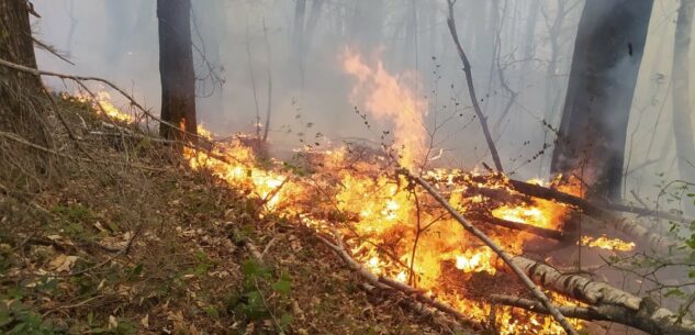 La Guida - Dalla Regione 4,8 milioni di euro per prevenire gli incendi boschivi