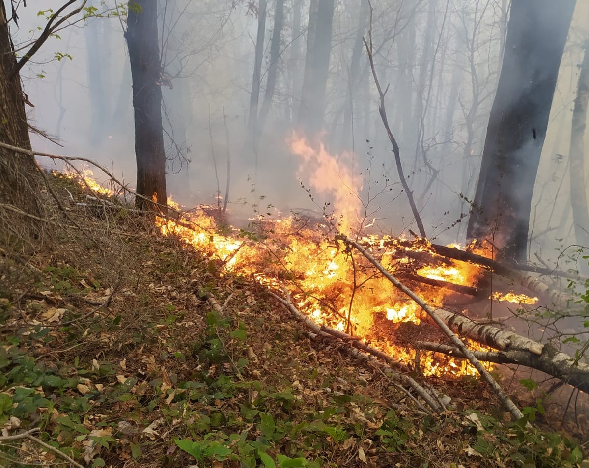 Peveragno incendio 19 aprile 2