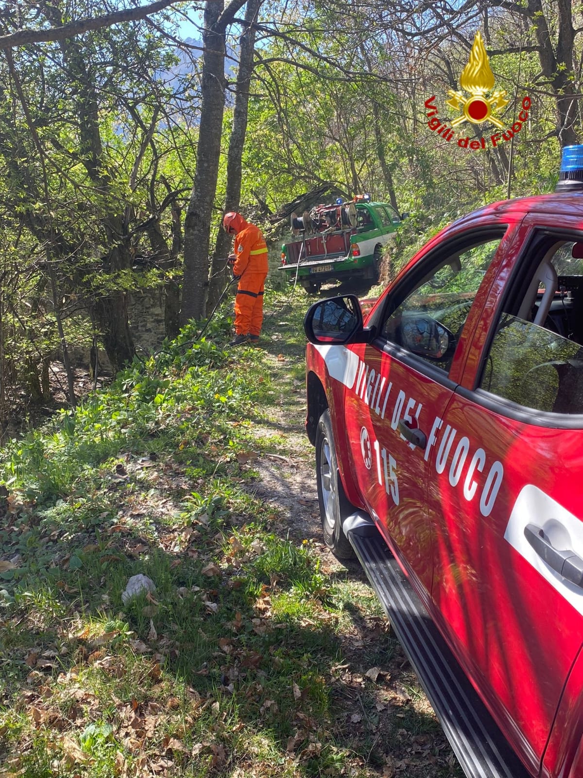 Incendio nei boschi di Moiola