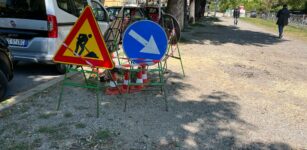 La Guida - Cuneo, un albero è caduto in corso Giovanni XXIII