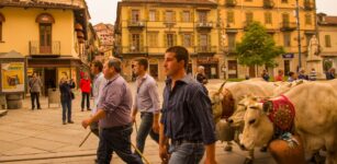 La Guida - Tori, manze e vacche per le vie di Saluzzo con la “Rudunà”