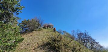 La Guida - Anello di Sant’Anna di Cavoira e il Monte Antola