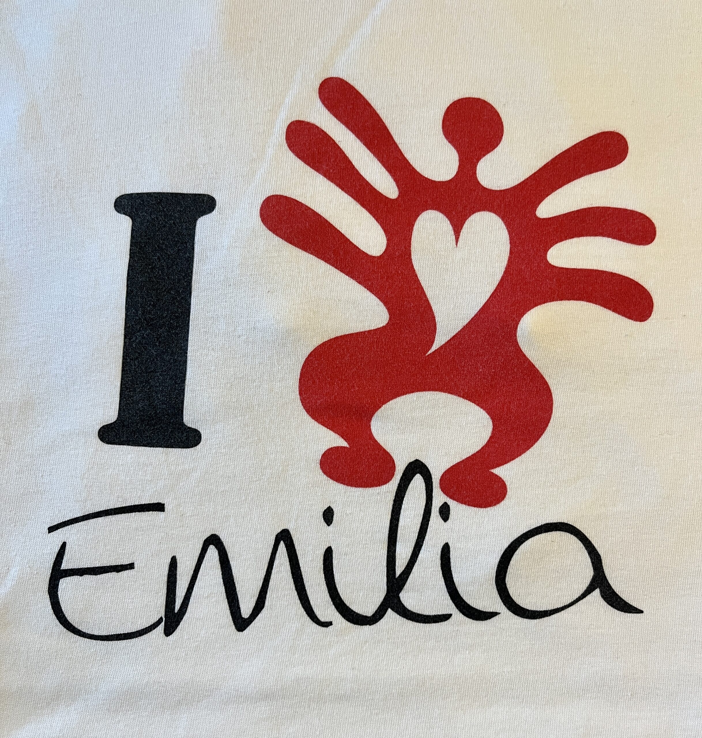 Una raccolta fondi per l’Emilia Romagna colpita dal maltempo