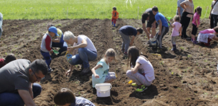 Rittana, rimandato l’evento dedicato alla patata La Guida - Rittana, rimandato l’evento dedicato alla patata
