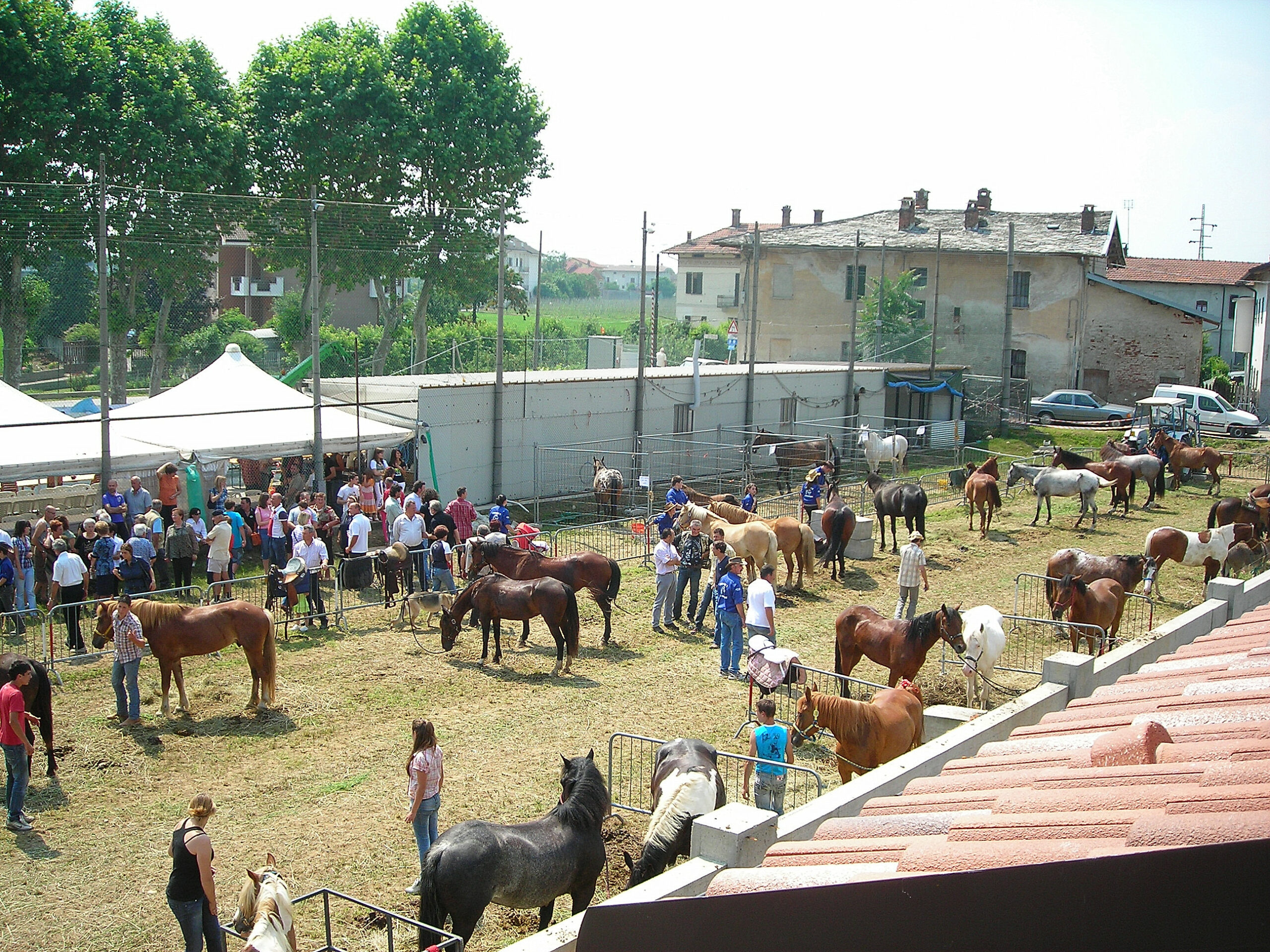 A Passatore torna il “Raduno Cavalli”, passione a quattro zampe