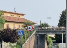 La Guida - Pecore zampettano dove un tempo passava il treno, alle porte di Cuneo (video)