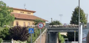 La Guida - Pecore zampettano dove un tempo passava il treno, alle porte di Cuneo (video)