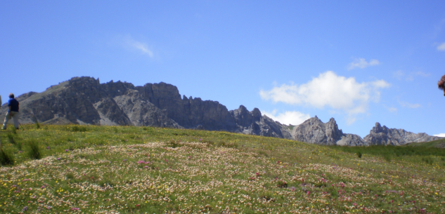 La Guida - Cima Soleglio Bue, Punta dell’Alp, la sorgente del bedale di Valloriate