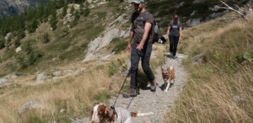 La Guida - Alpi Marittime: “I cani nel Parco sempre al guinzaglio”