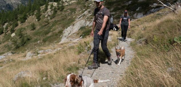 La Guida - Alpi Marittime: “I cani nel Parco sempre al guinzaglio”