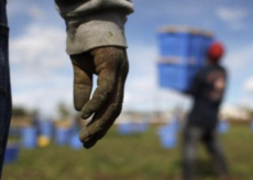 La Guida - Cuneo pronta per accogliere i lavoratori stagionali della frutta