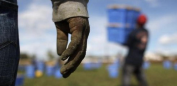 La Guida - Cuneo pronta per accogliere i lavoratori stagionali della frutta