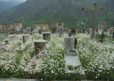 La Guida - Il cimitero di Castelmagno “galleggia” in un mare di margherite