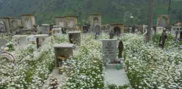 La Guida - Il cimitero di Castelmagno “galleggia” in un mare di margherite