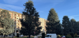 “Il Comune intende ancora abbattere i cedri in piazza Europa?” La Guida - “Il Comune intende ancora abbattere i cedri in piazza Europa?”