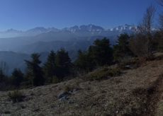 La Guida - Il vallone di Sant’Anna di Bernezzo e il Monte Barregard