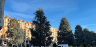 La Guida - In Piazza Europa riqualificazione senza parcheggio sotterraneo, ancora nessuna certezza per i cedri