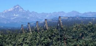 E’ nato il Distretto del Cibo della Frutta del Piemonte La Guida - E’ nato il Distretto del Cibo della Frutta del Piemonte