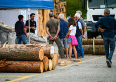 La Guida - Legno, frisona e frutta al centro della Mostra della Meccanica Agricola di Saluzzo