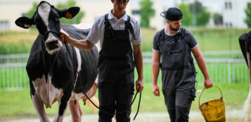 La Guida - Infortuni, ridotte le aliquote Inail sulle imprese agricole