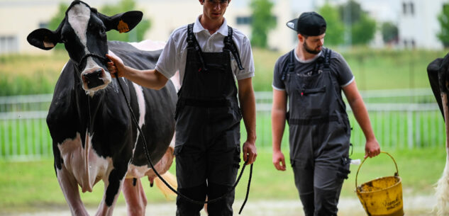 La Guida - Domani (lunedì 4) l’ultima giornata della Mostra della Meccanica Agricola di Saluzzo