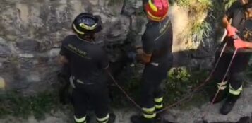 La Guida - Vigili del Fuoco mettono in salvo una capretta a Boves (video)