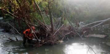 La Guida - Aib di Peveragno al lavoro per la rimozione di alberi