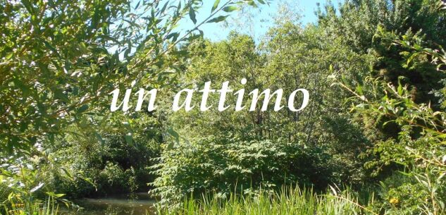 La Guida - L’attimo di Domenico Olivero tra la natura e la spiritualità