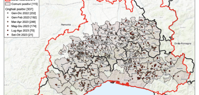 La Guida - Peste suina africana, quasi 500 le carcasse in Piemonte