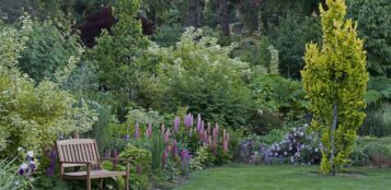 La Guida - Saluzzo, chiuso il giardino botanico Villa Bricherasio