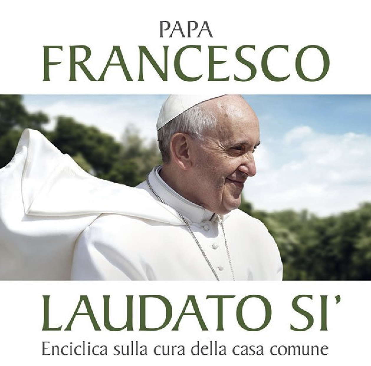 Papa Francesco, Laudato si'