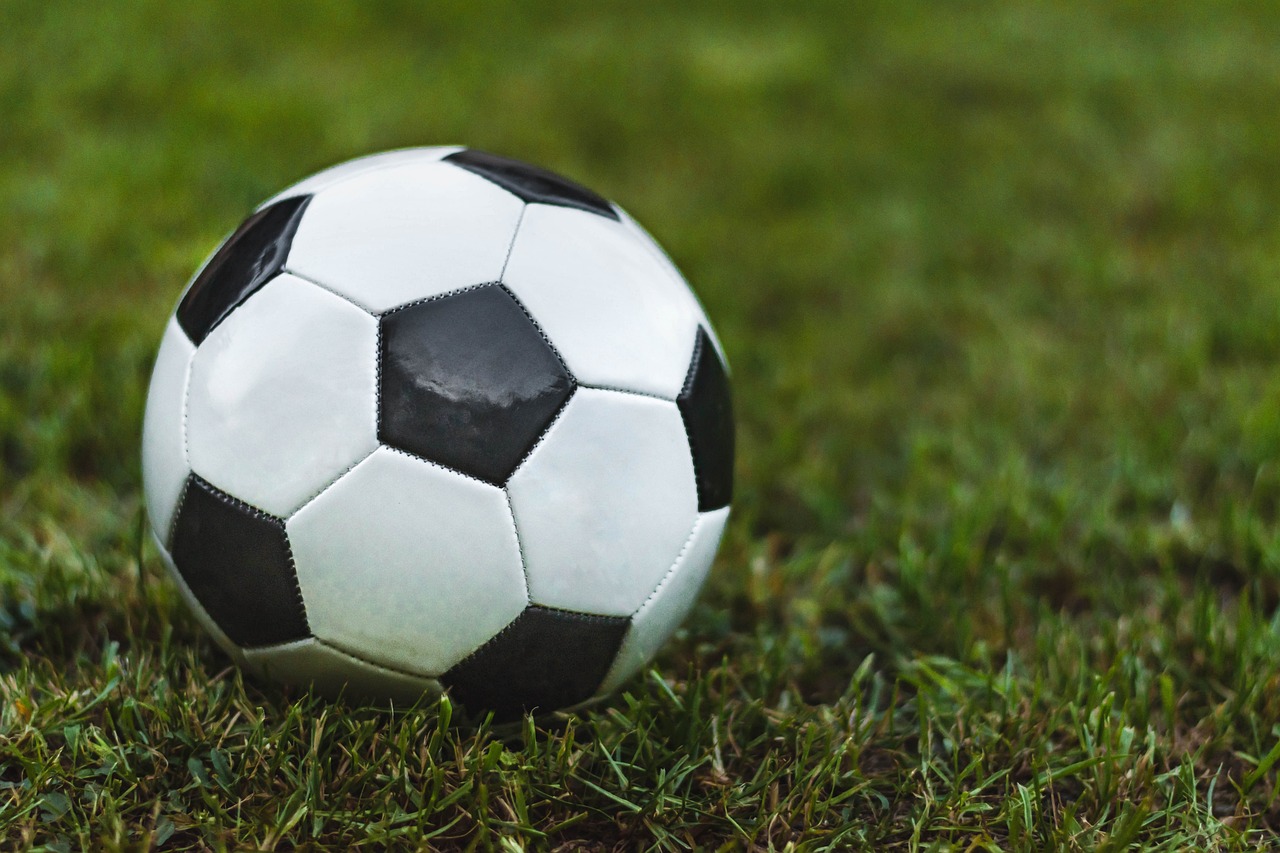 Pallone da calcio (foto Pixabay)